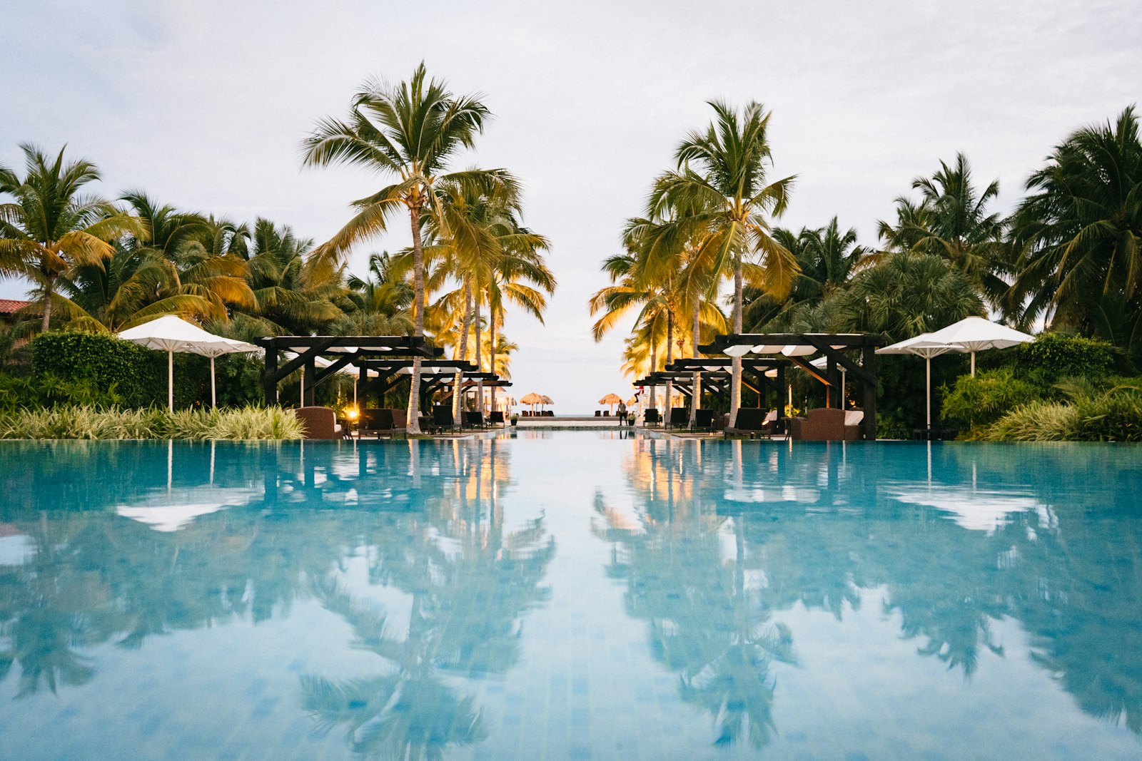 Resort pool surrounded by palm trees, GoaNest hospitality platform project