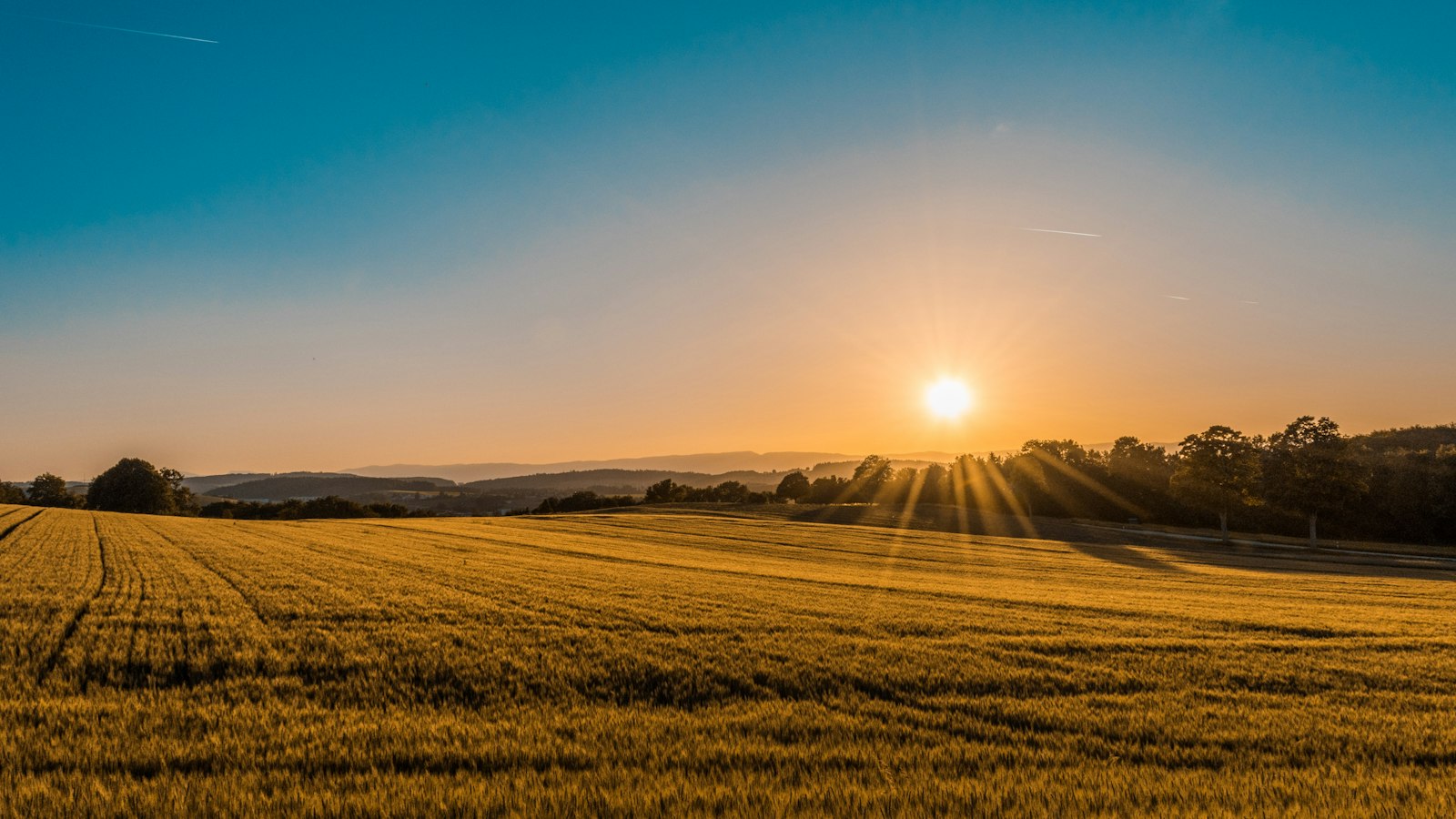 Sanpome agriculture e-commerce case study